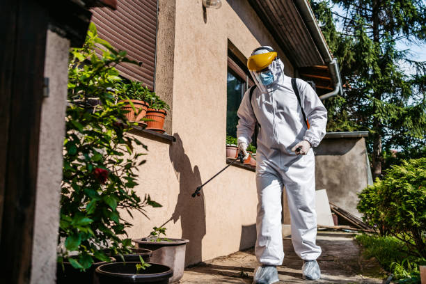 Best Insect Control  in Scappoose, OR
