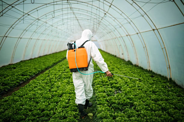 Best Mosquito Control Services  in Scappoose, OR