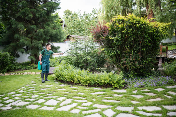 Best Affordable Pest Control Services  in Scappoose, OR