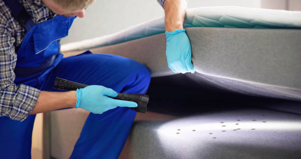 Best Pest Removal Services  in Scappoose, OR
