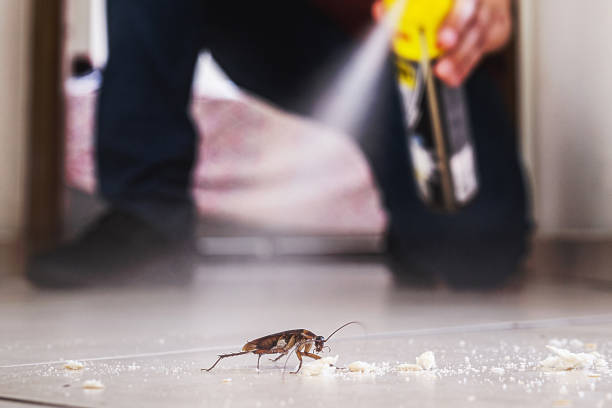 Best Pest Prevention Services  in Scappoose, OR
