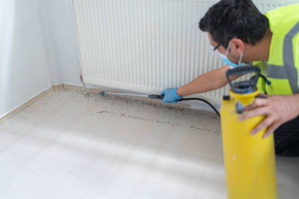 Best Pest Control for Businesses  in Scappoose, OR