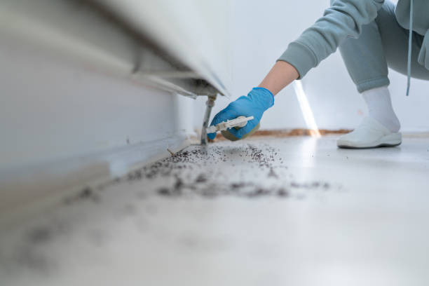 Best Flea Control Services  in Scappoose, OR