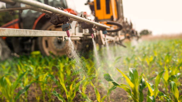 Best Pest Control Cost  in Scappoose, OR