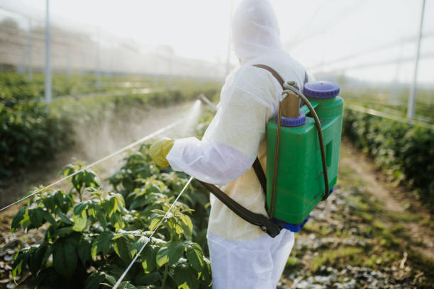 Best Affordable Pest Control Services  in Scappoose, OR